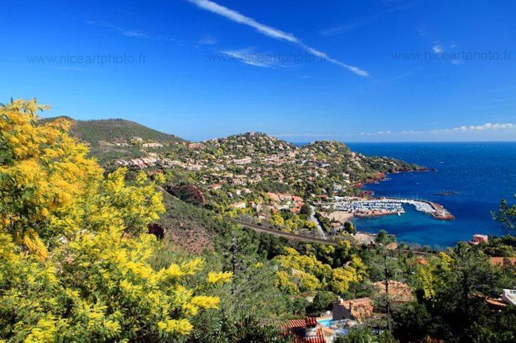Superbe Appartement Avec Vue Mer Et Piscine Saint-Raphaël Dış mekan fotoğraf